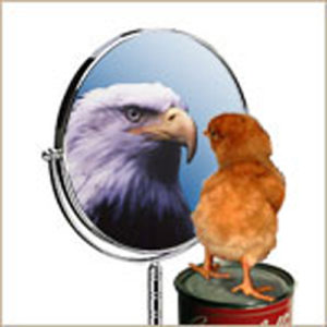 Photo of chicken seeing itself as an eagle in a mirror