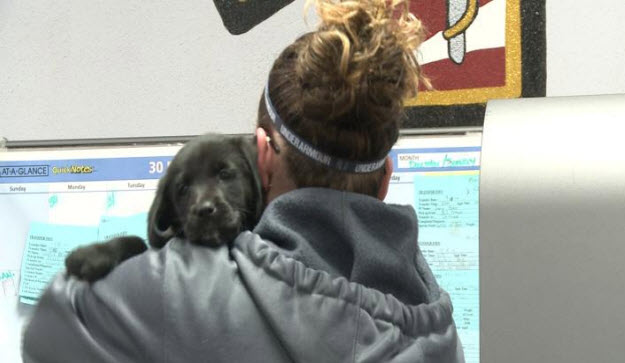 EMS Puppy for Ambulance Company employees