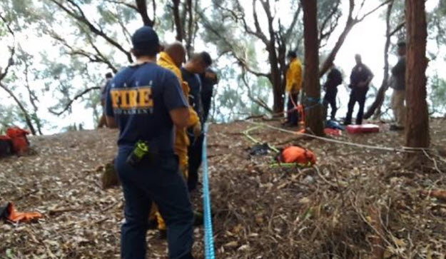 Smart Dog Leads Rescuers to Injured Hiker