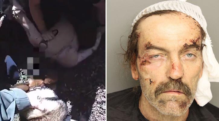 Cop Cam Captures K-9 Attack on Suspect Hiding in Dishwasher